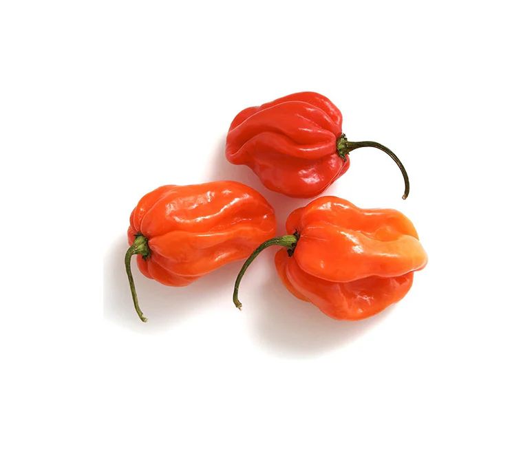 Hot Pepper 100g