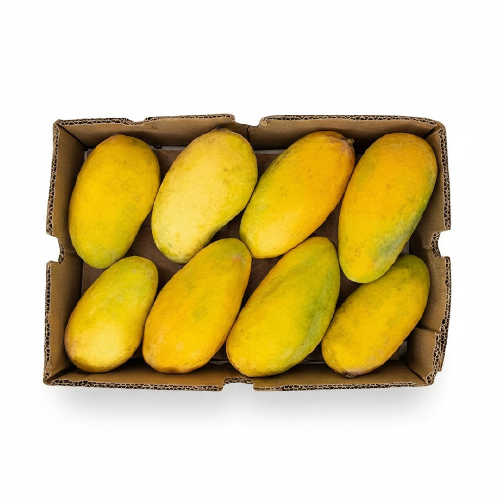 Pakistani Mango (Sindhri) Jumbo Box