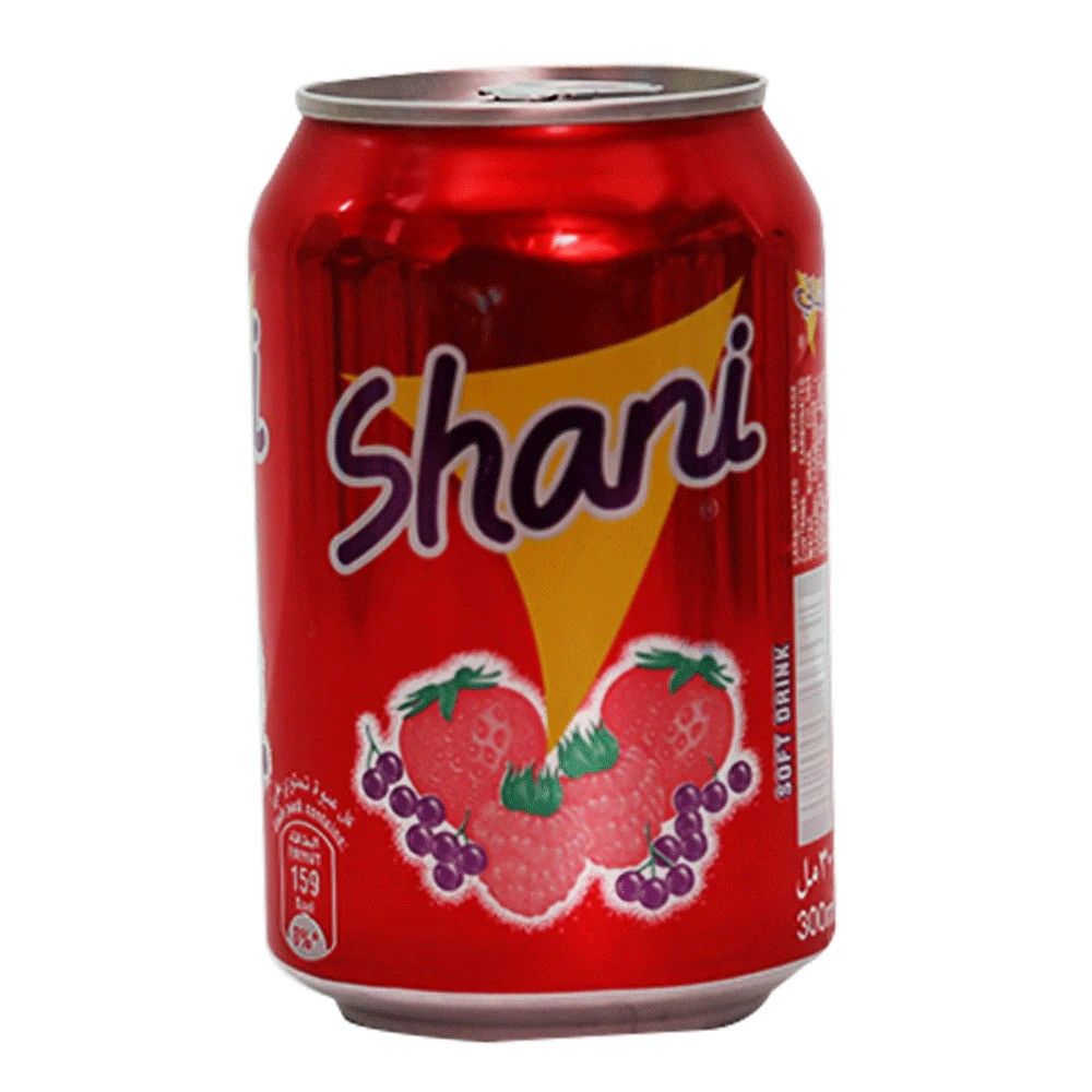 Shani Fruit Flavoured Drink 300ml