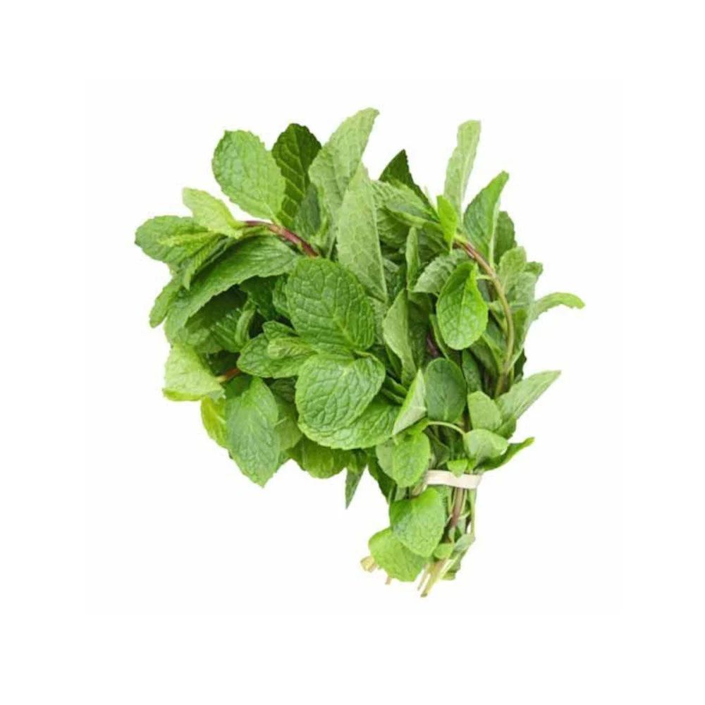Mint (Podina) (Bunch) x1