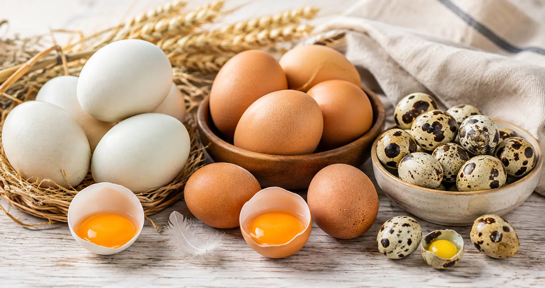 Quail Eggs, Duck Eggs & Hen Eggs: What's the Difference & Which Should You Buy?