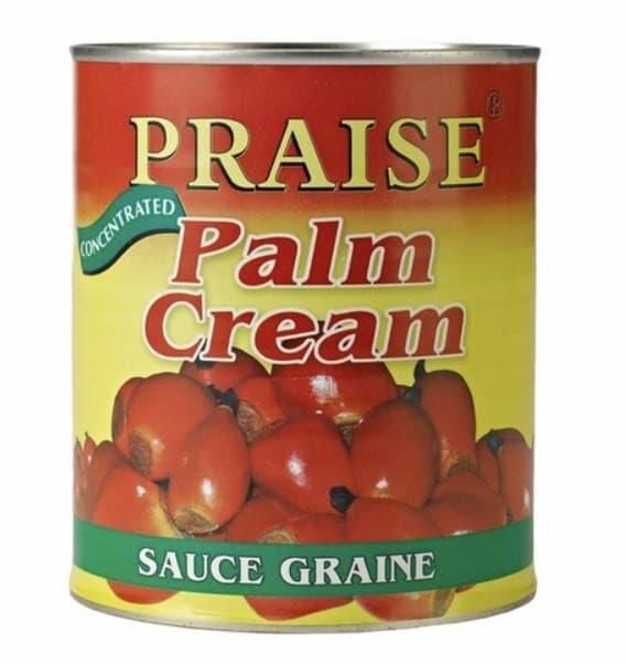 Praise Palm Cream Sauce Grain 800g