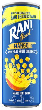 Rani float Mango With Real Fruit Chunks 235ml
