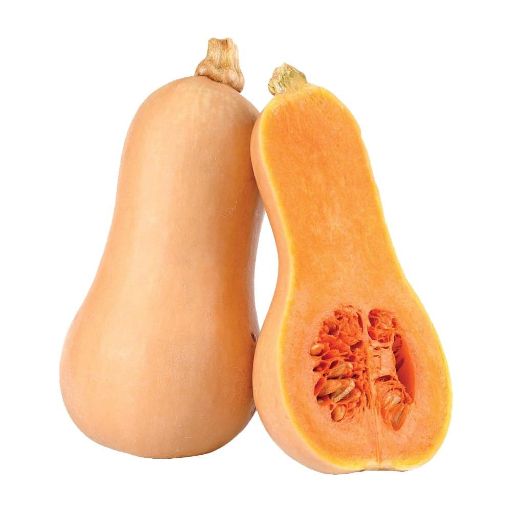 Butter nut Squash (1kg)