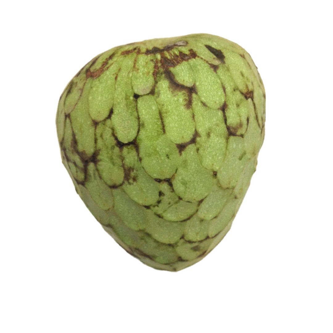 Cherimoya (Custard Apple) - (Each)