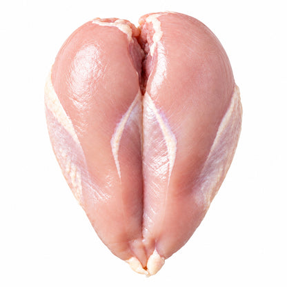 Raw chicken breast butterfly cut on a plain white background