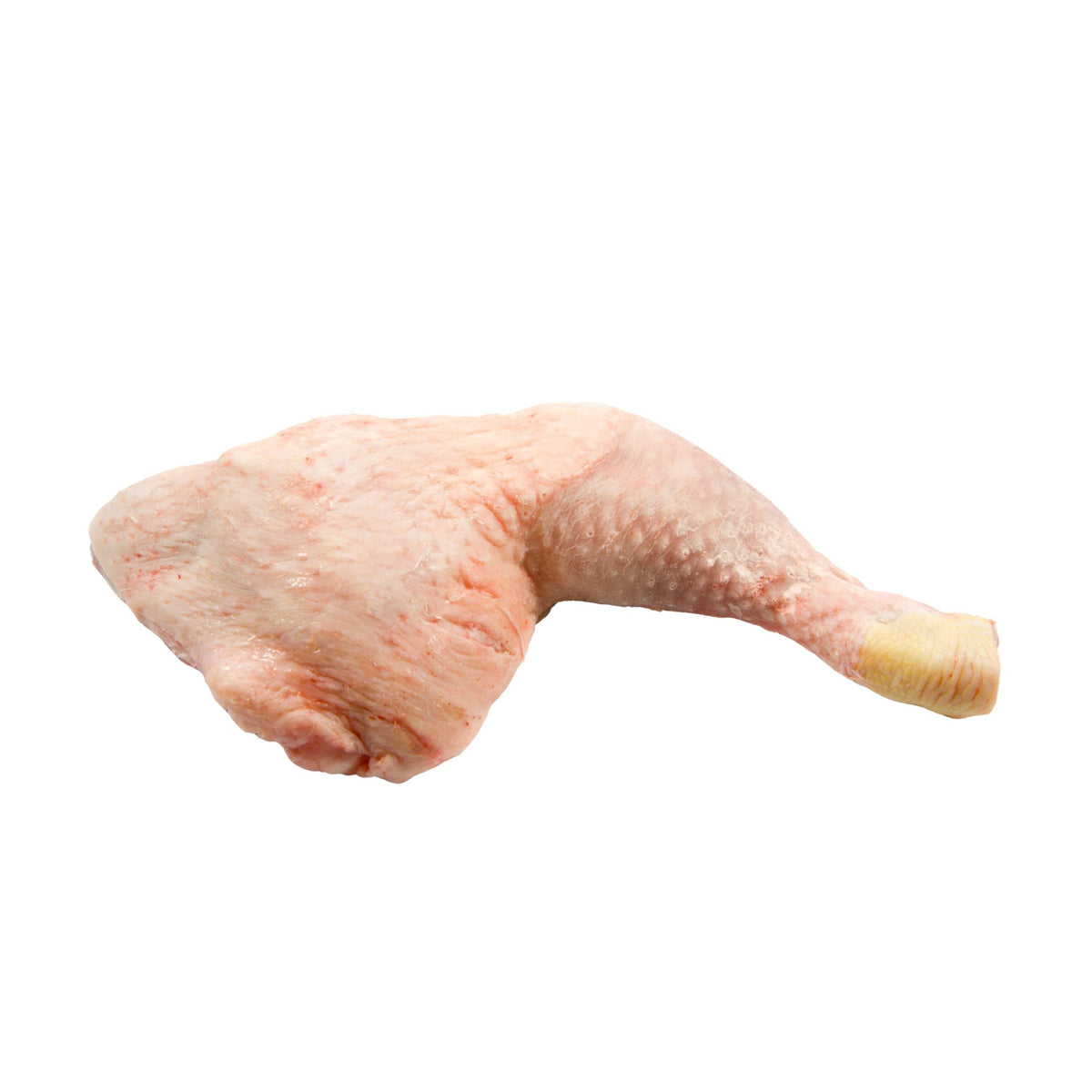 Chicken Leg