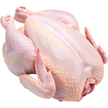Medium Chicken