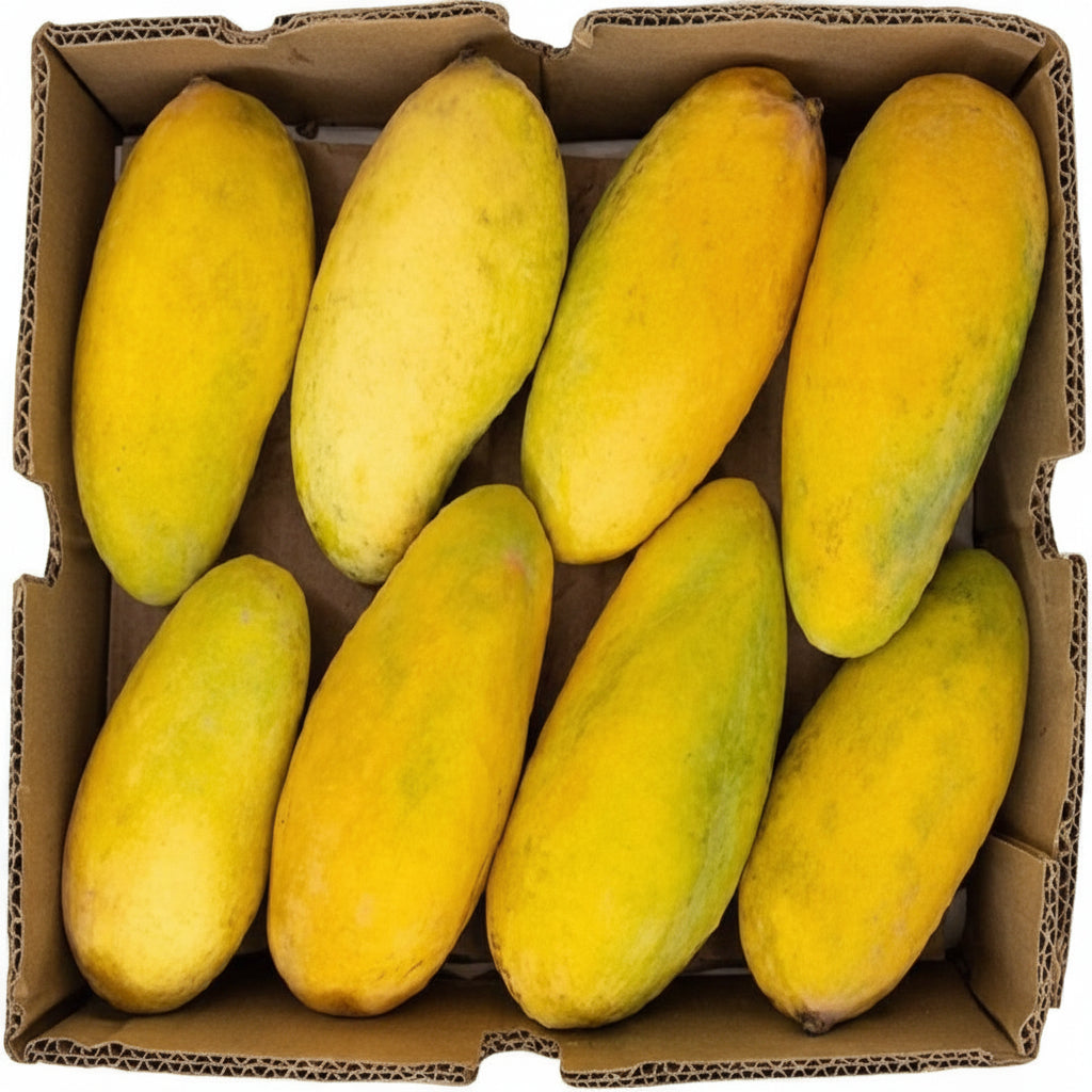 Pakistani Mango (Sindhri) Large Box