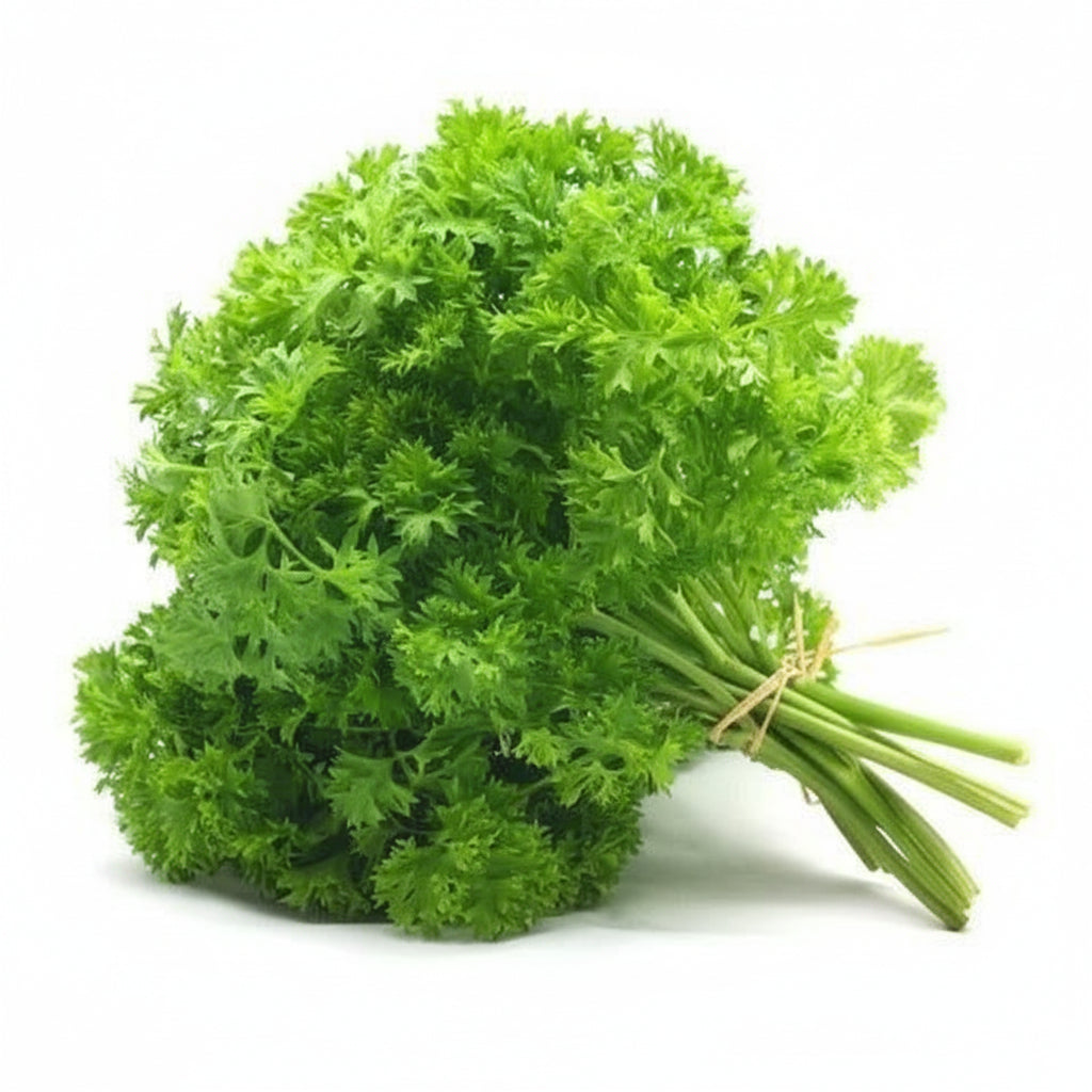 Parsley (Bunch) x1